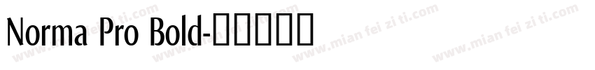 Norma Pro Bold字体转换